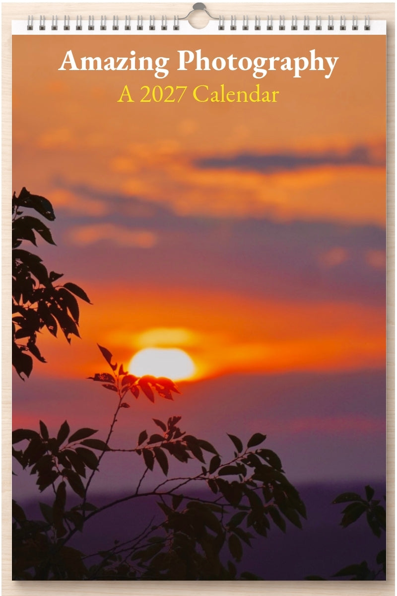 Amazing Photography: A 2027 Calendar