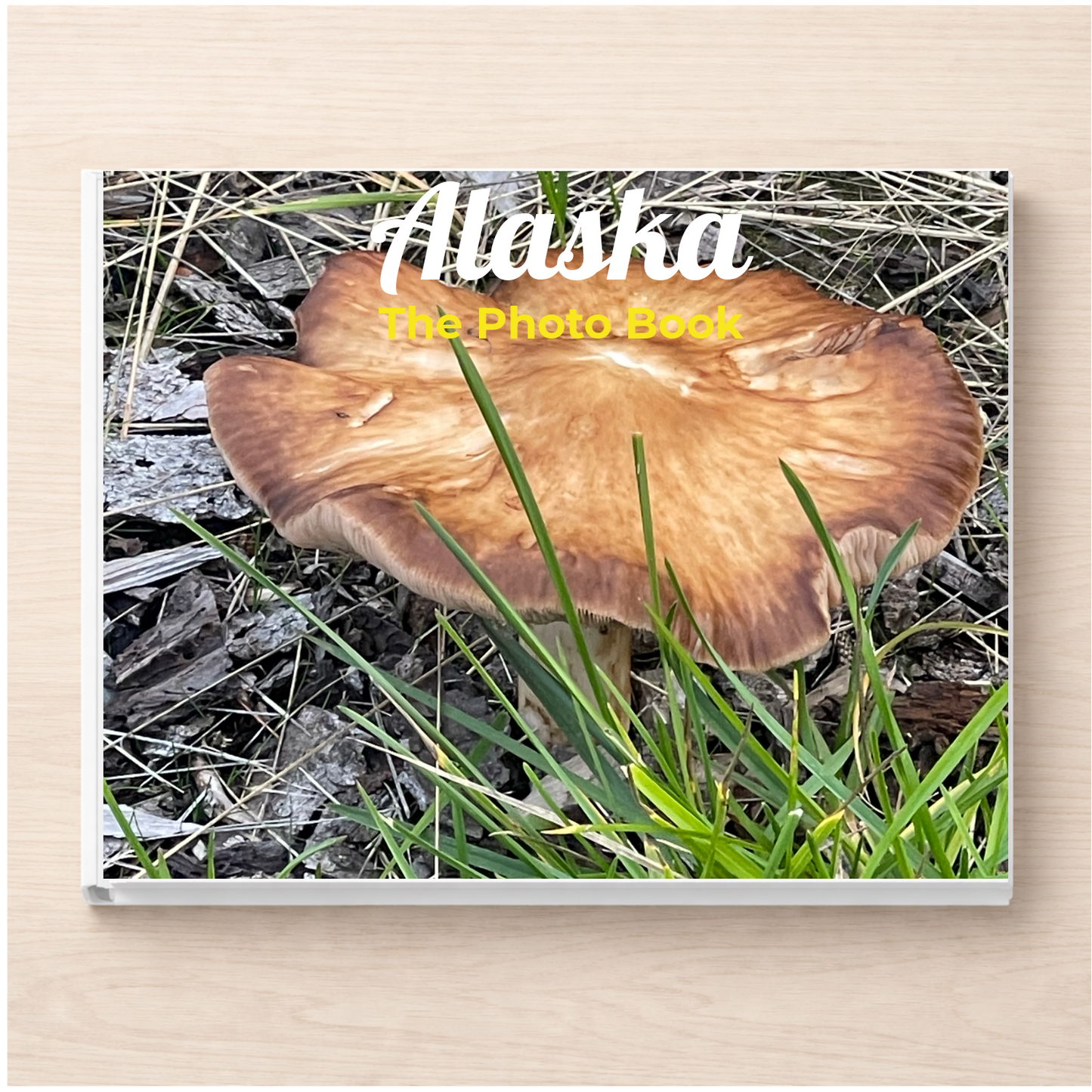 Alaska: The Photo Book