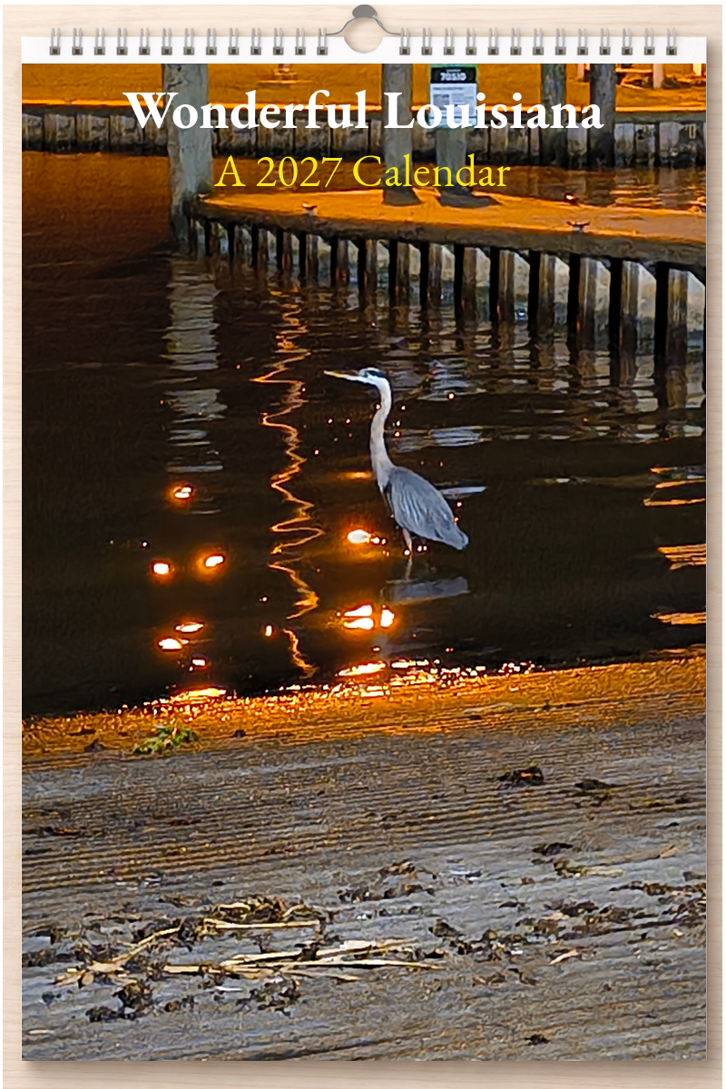 Wonderful Louisiana: A 2027 Calendar