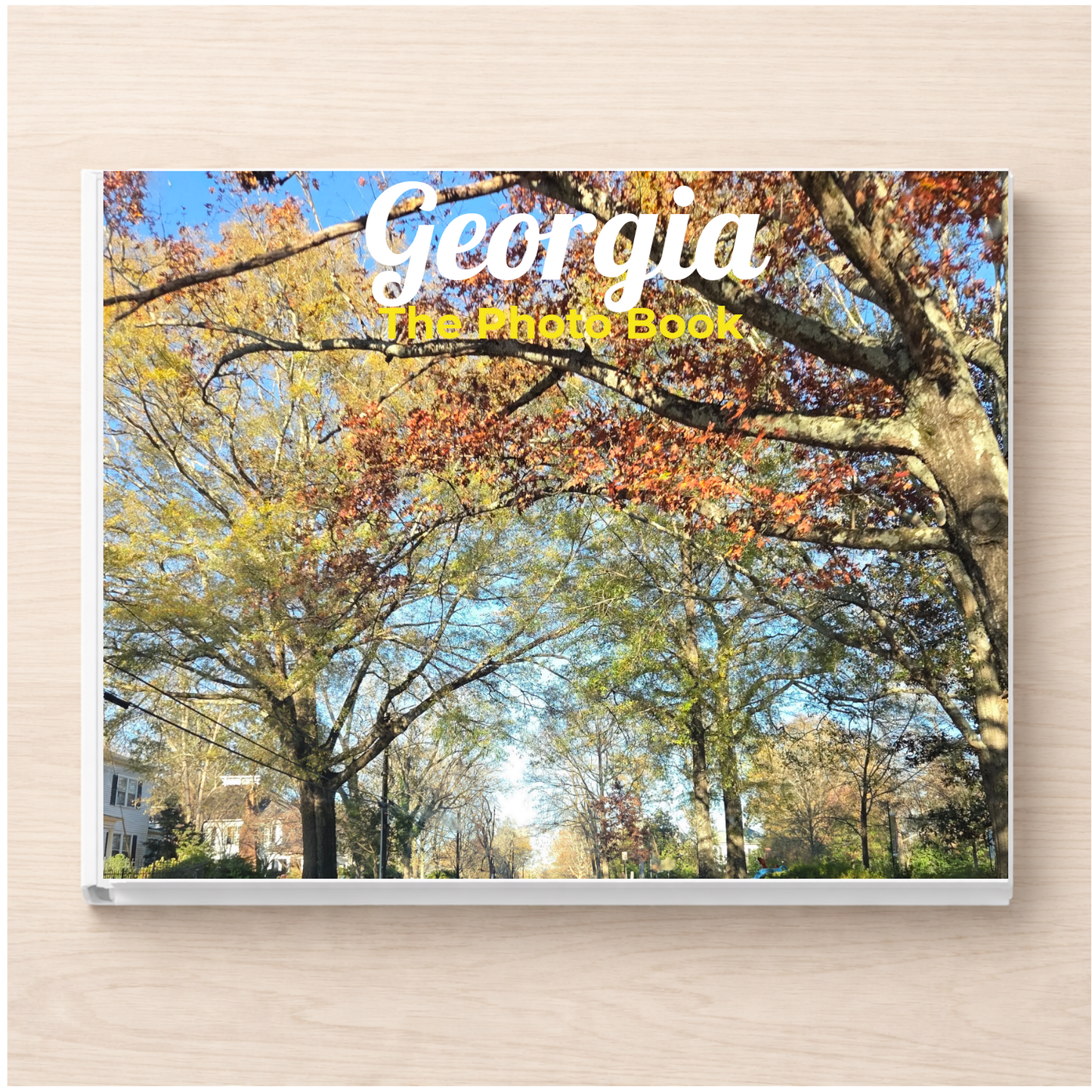 Georgia: The Photo Book