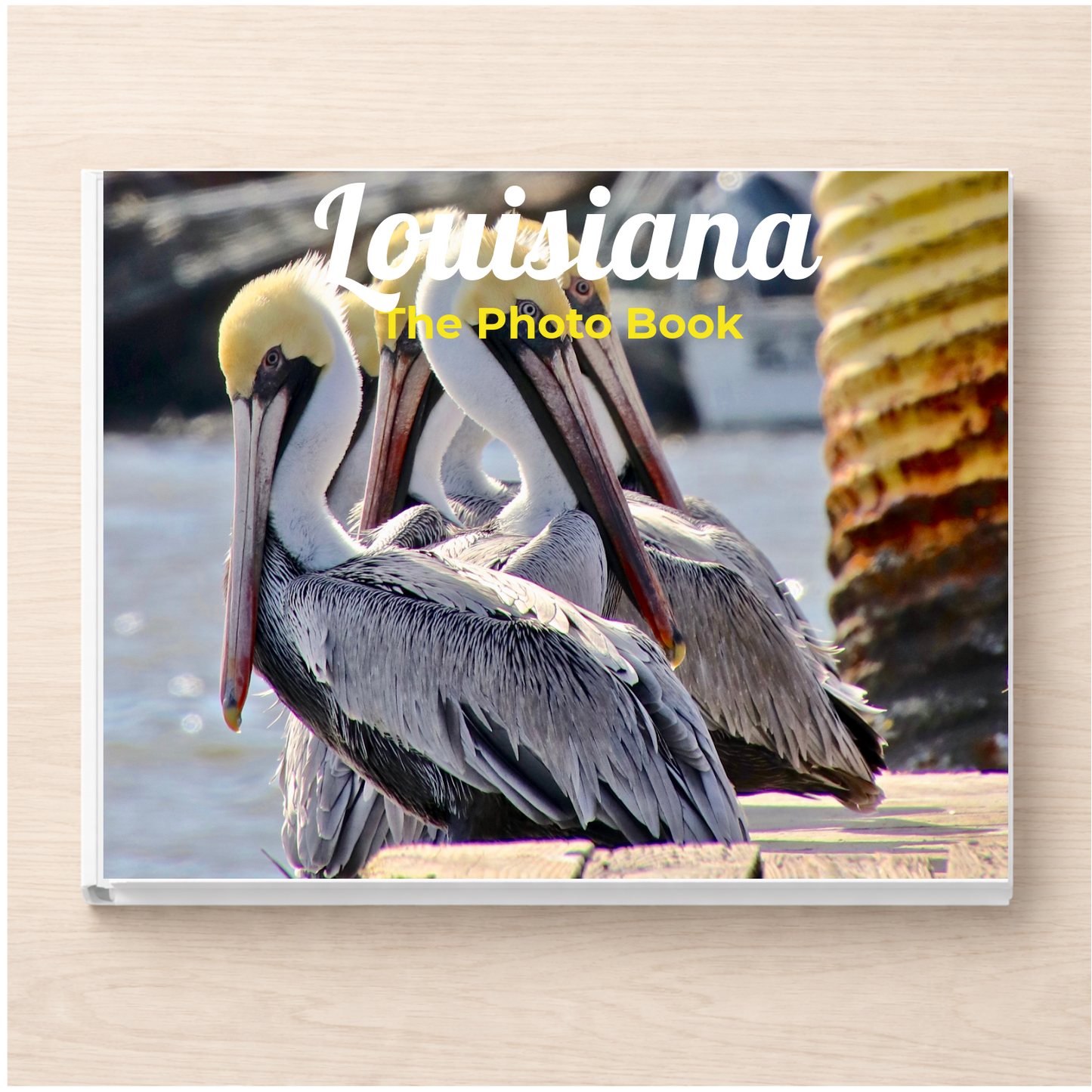 Louisiana: The Photo Book