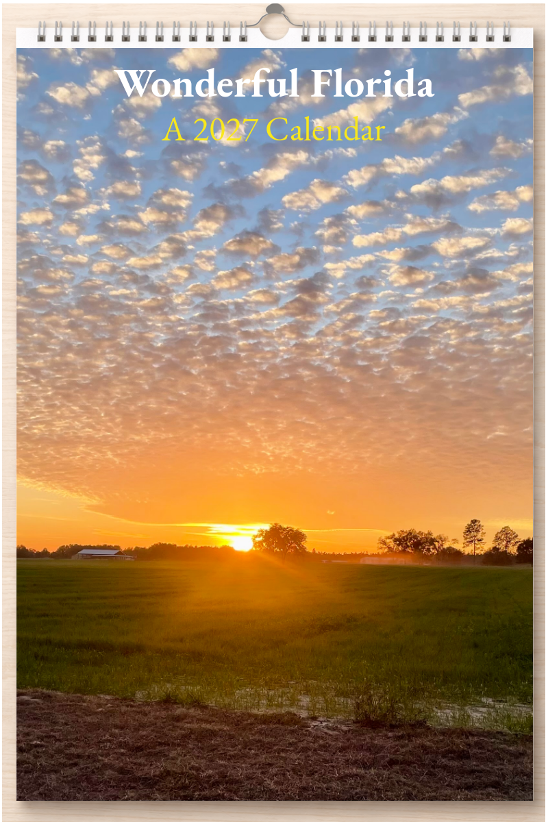 Wonderful Florida: A 2027 Calendar