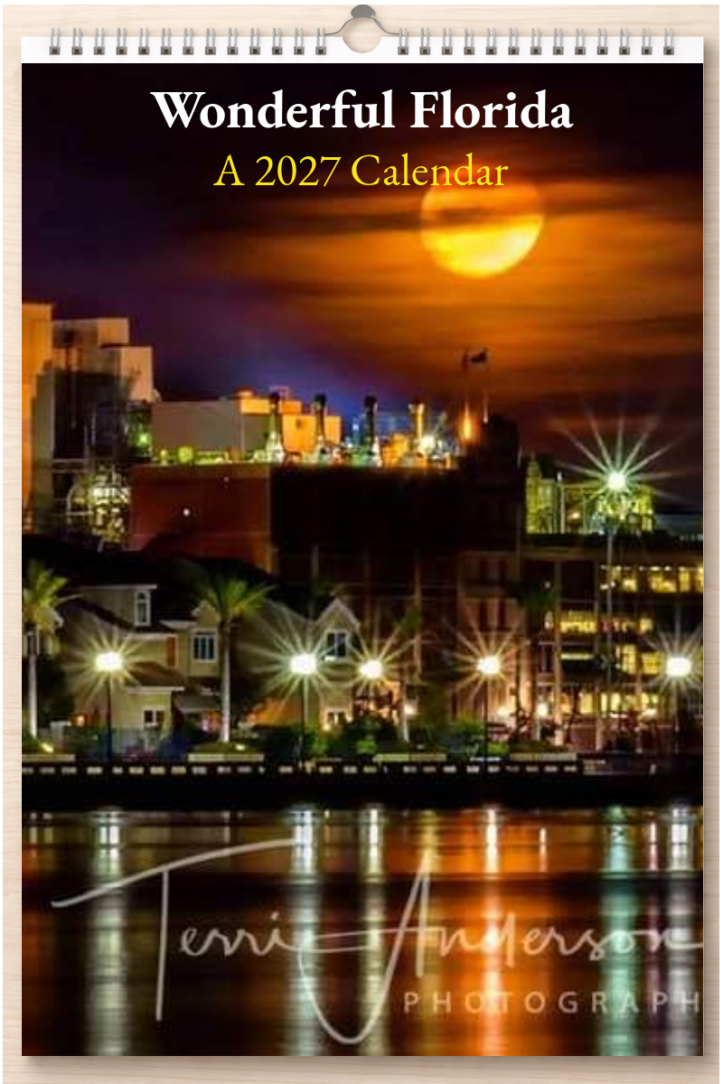 Wonderful Florida: A 2027 Calendar