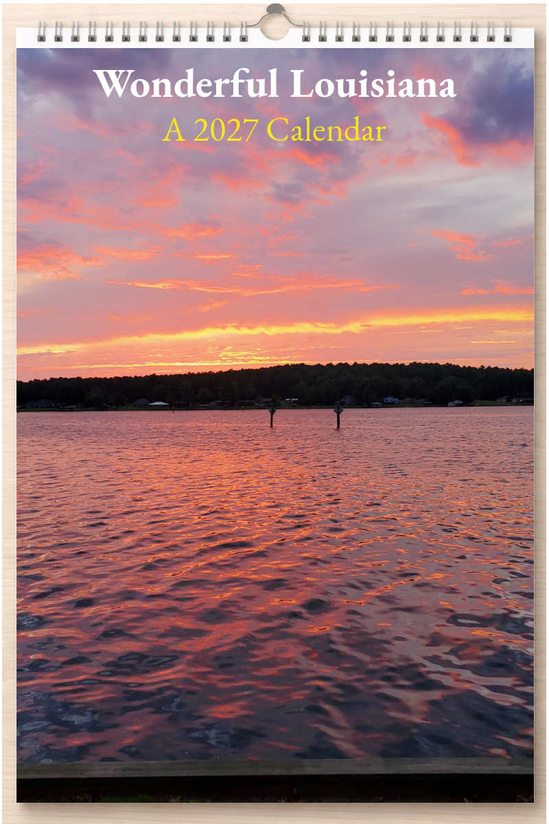 Wonderful Louisiana: A 2027 Calendar