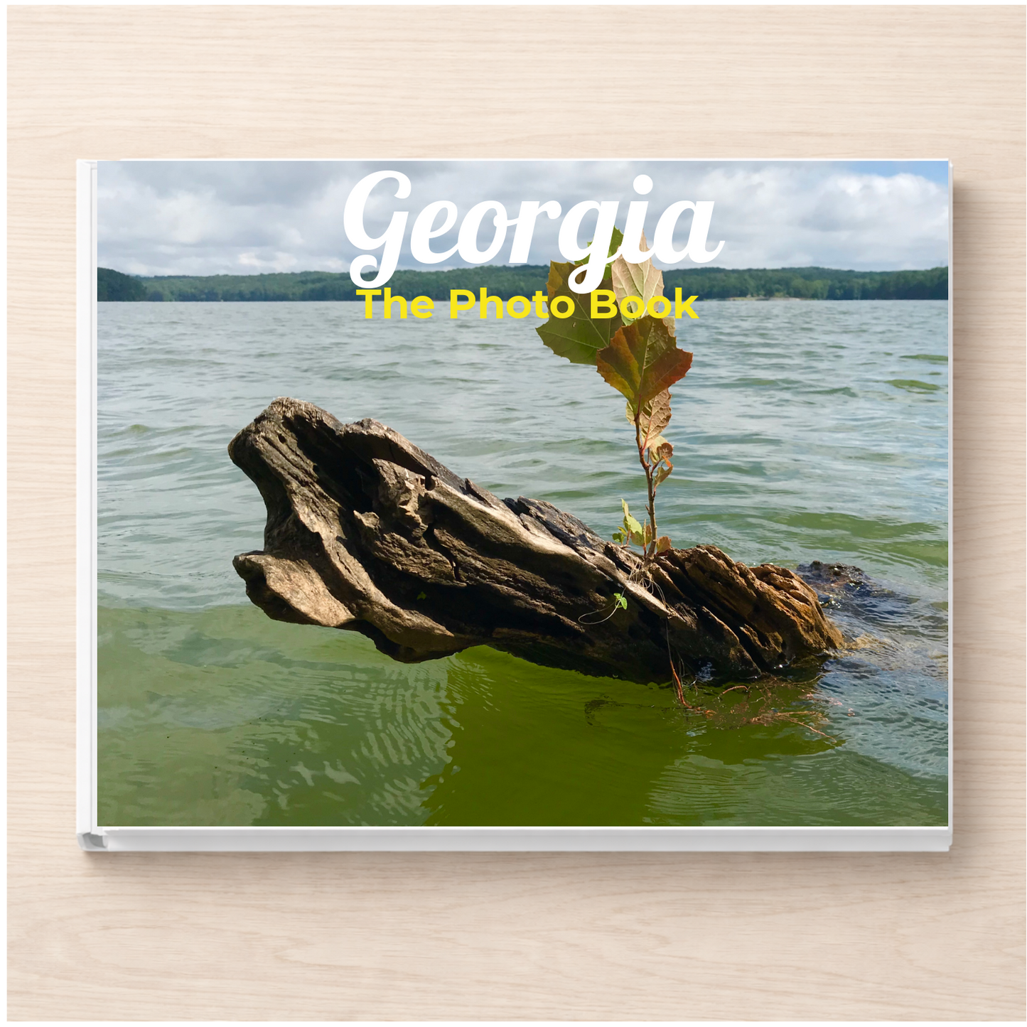 Georgia: The Photo Book
