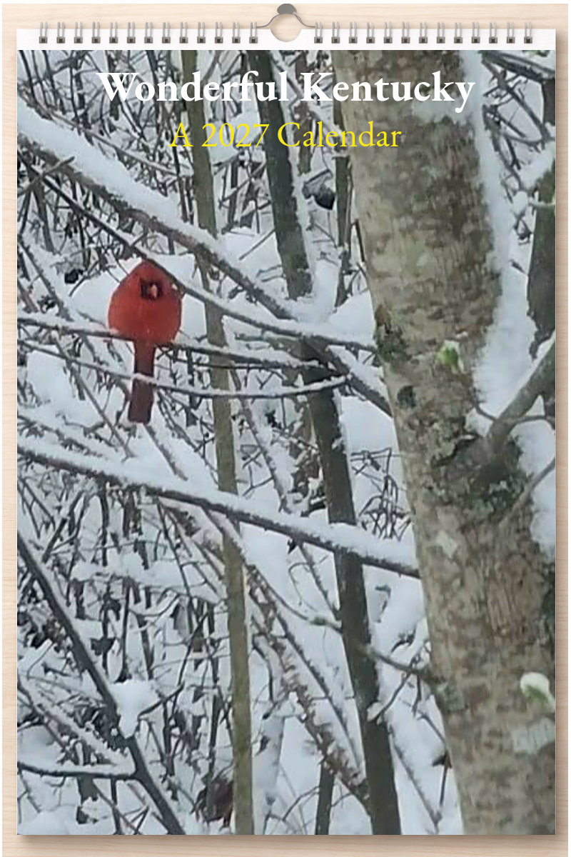 Wonderful Kentucky: A 2027 Calendar