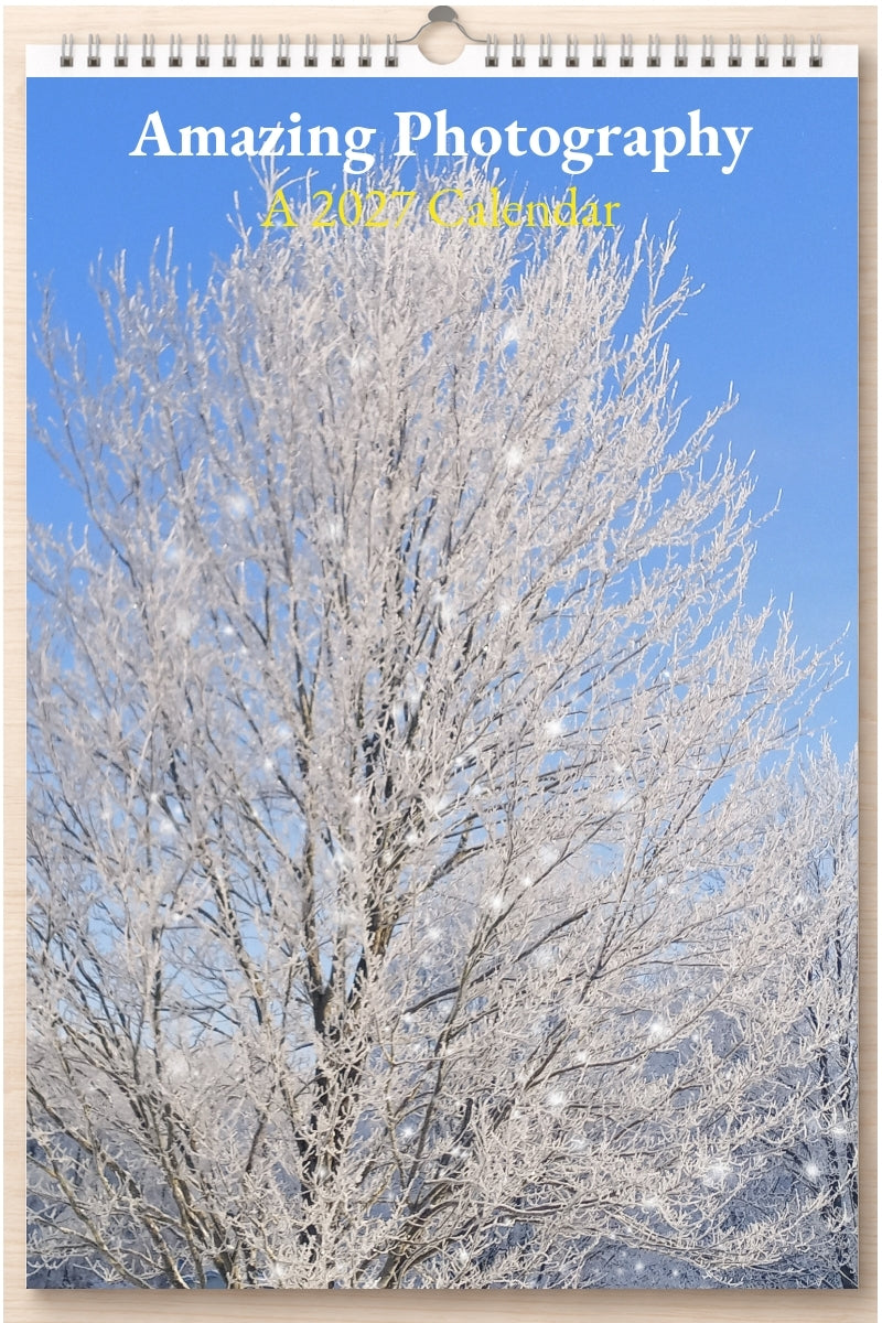 Amazing Photography: A 2027 Calendar