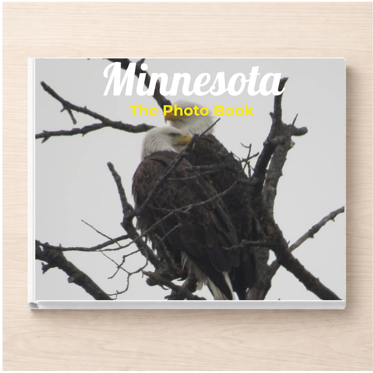 Minnesota: The Photo Book