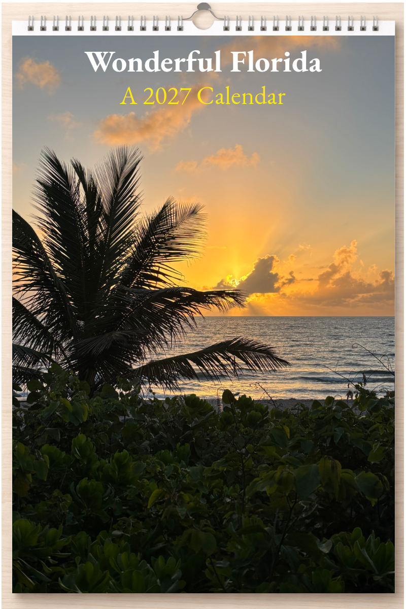 Wonderful Florida: A 2027 Calendar