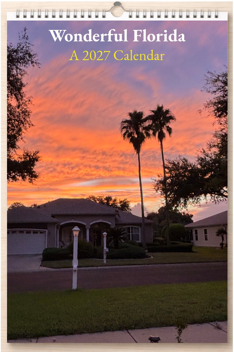 Wonderful Florida: A 2027 Calendar