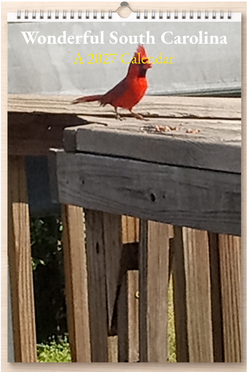 Wonderful South Carolina: A 2027 Calendar