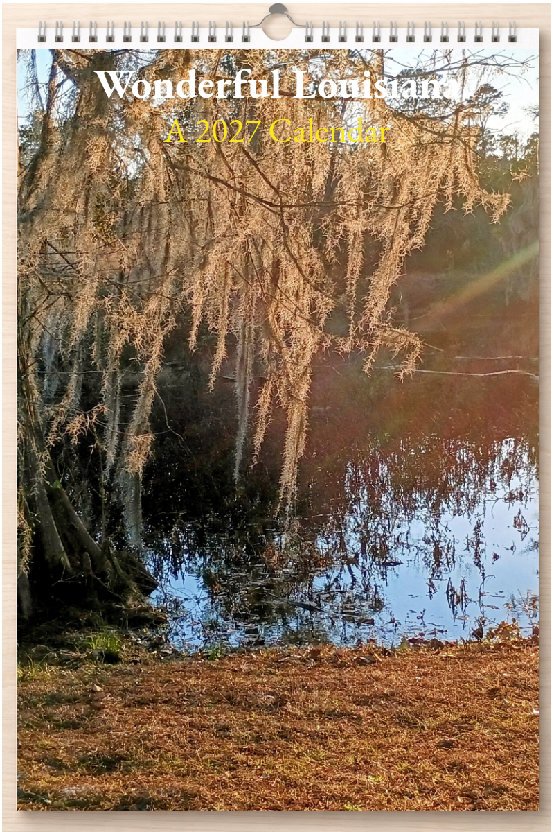 Wonderful Louisiana: A 2027 Calendar