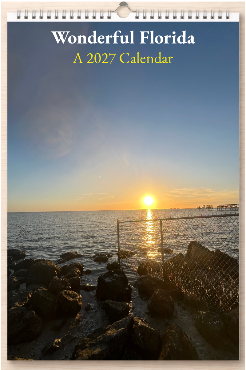 Wonderful Florida: A 2027 Calendar