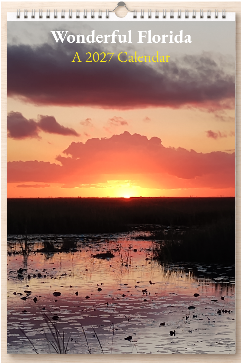 Wonderful Florida: A 2027 Calendar