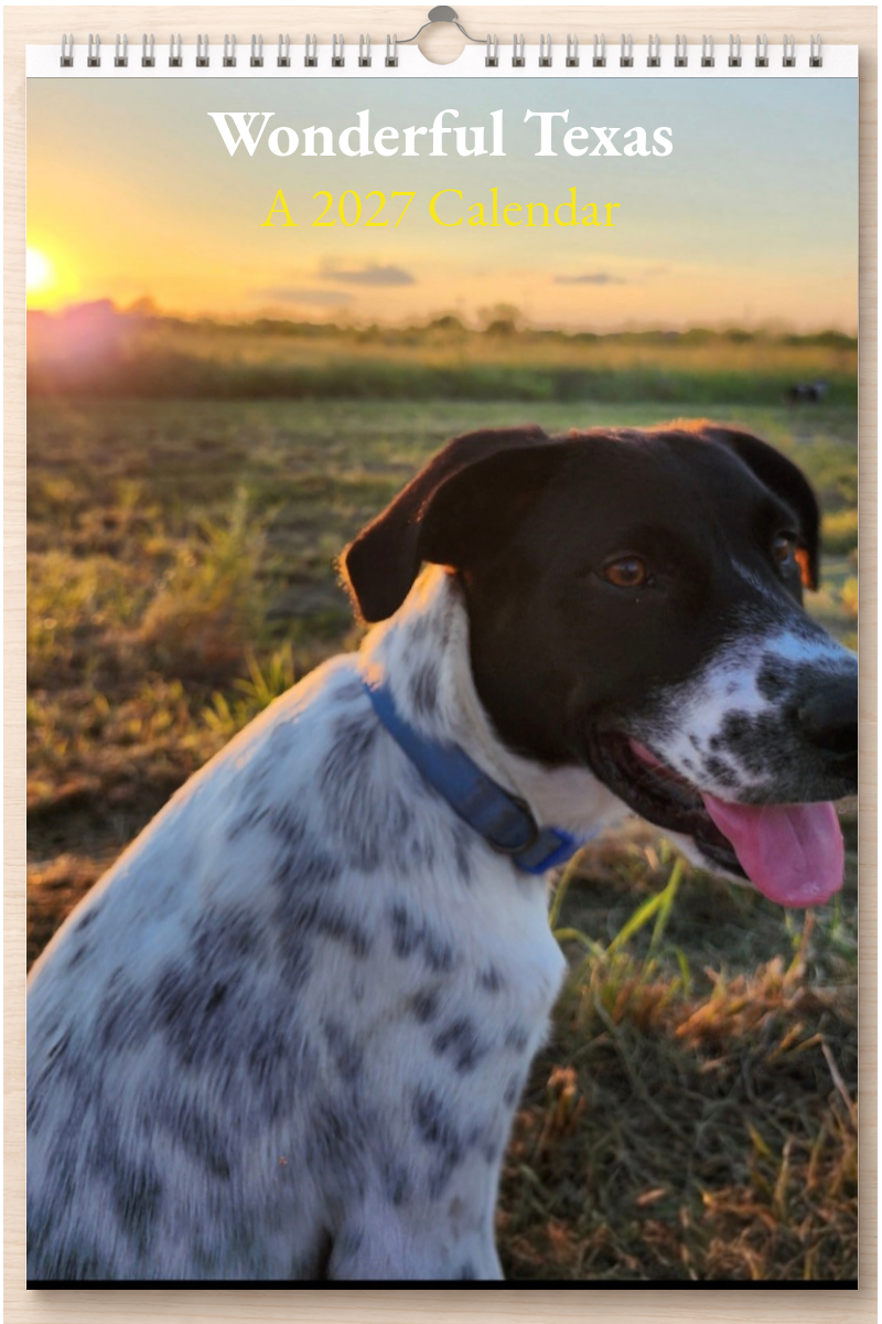 Wonderful Texas: A 2027 Calendar