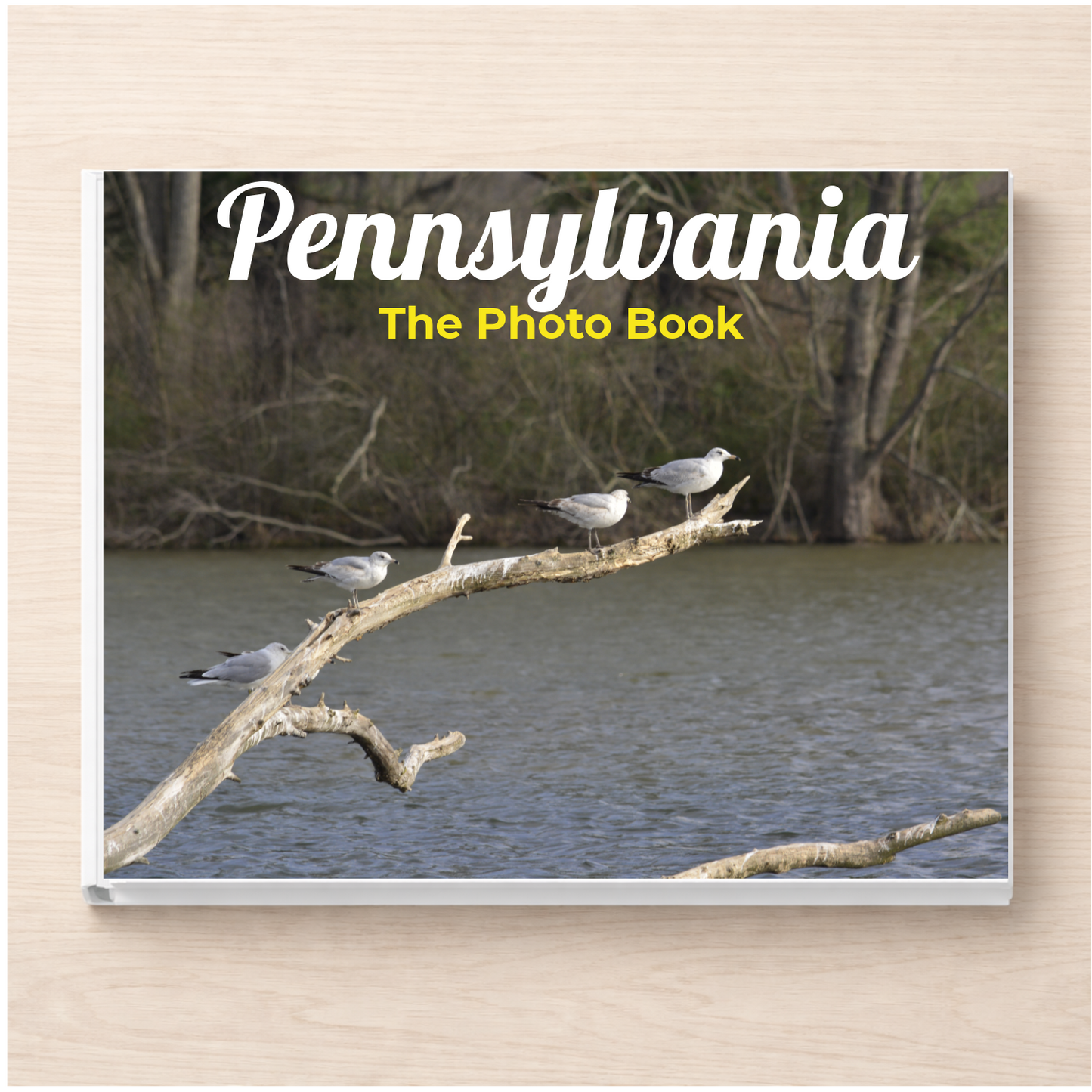 Pennsylvania: The Photo Book