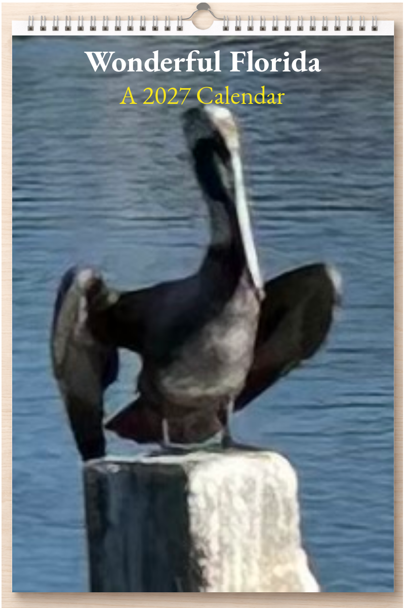 Wonderful Florida: A 2027 Calendar