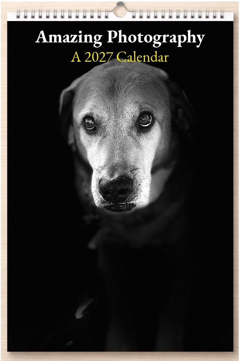 Amazing Photography: A 2027 Calendar