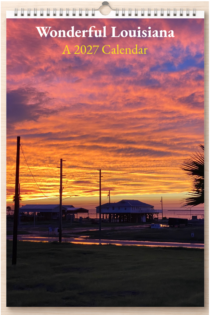Wonderful Louisiana: A 2027 Calendar