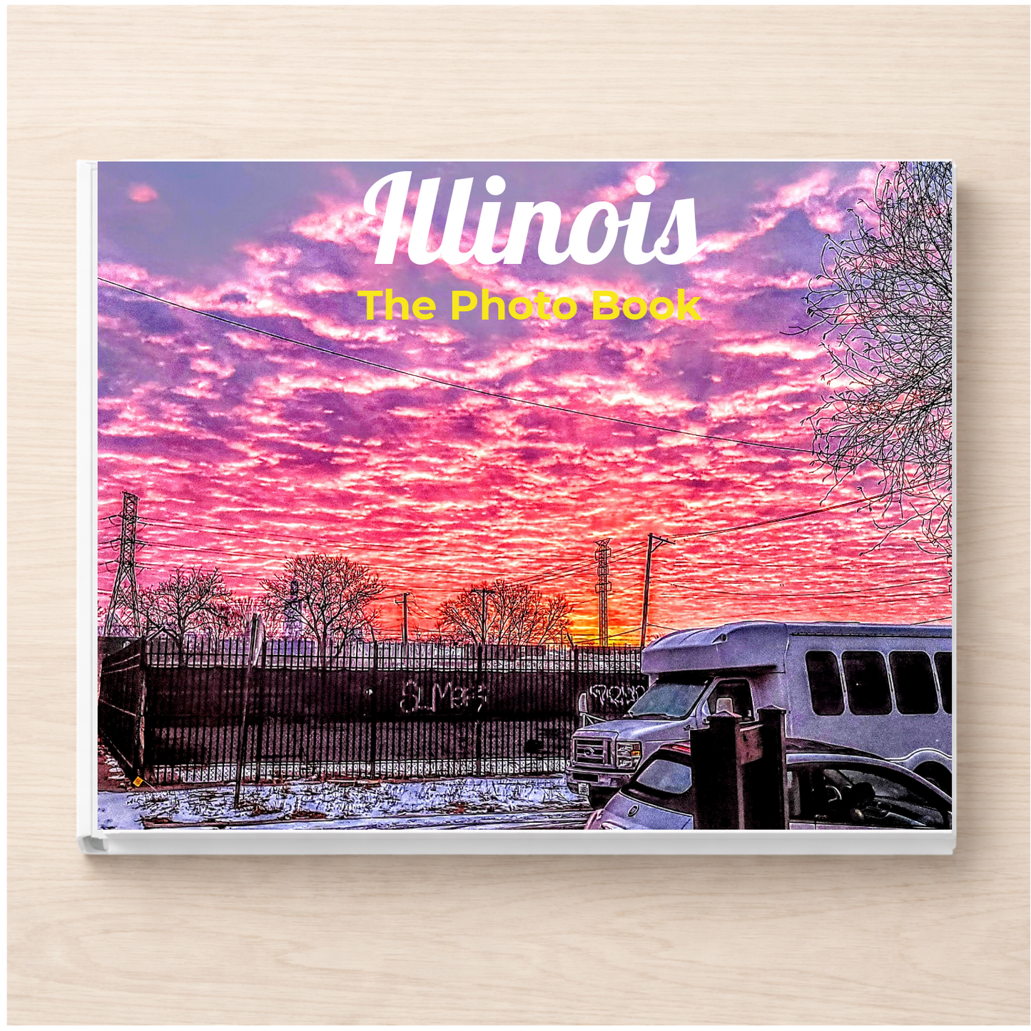 Illinois: The Photo Book