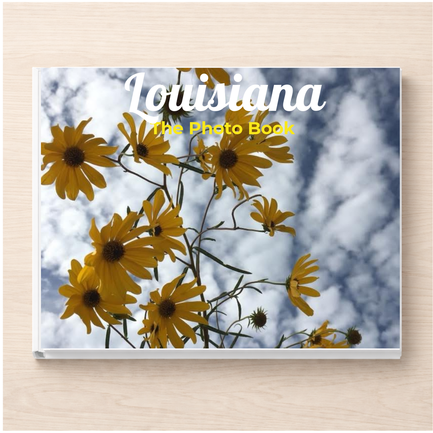 Louisiana: The Photo Book