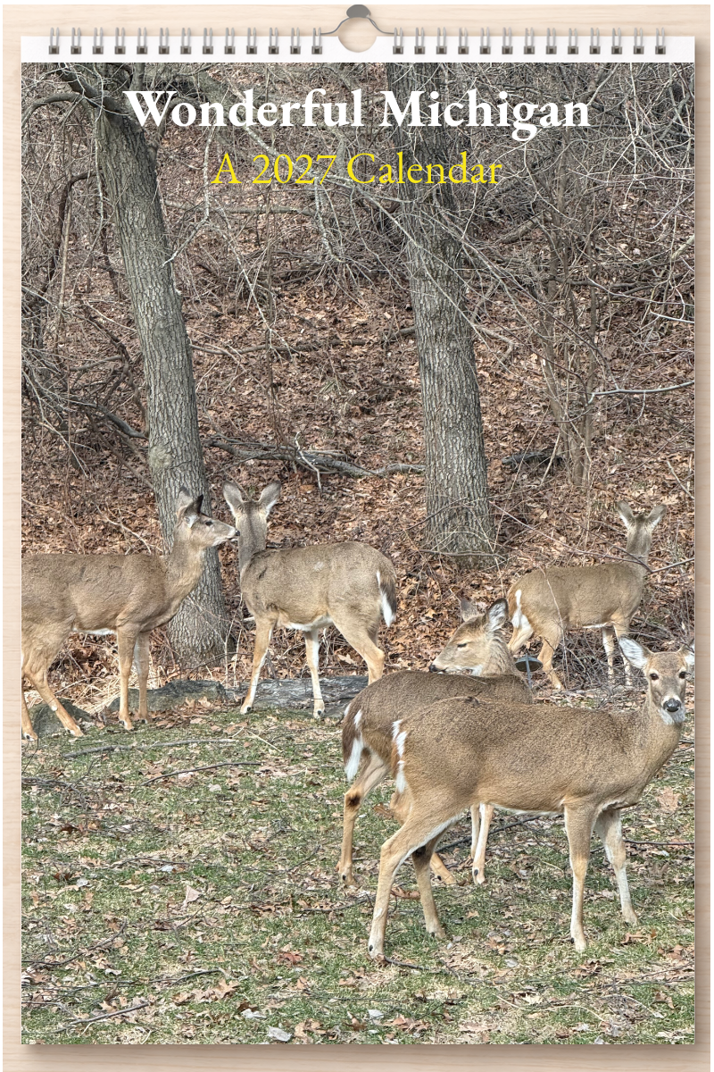 Wonderful Michigan: A 2027 Calendar
