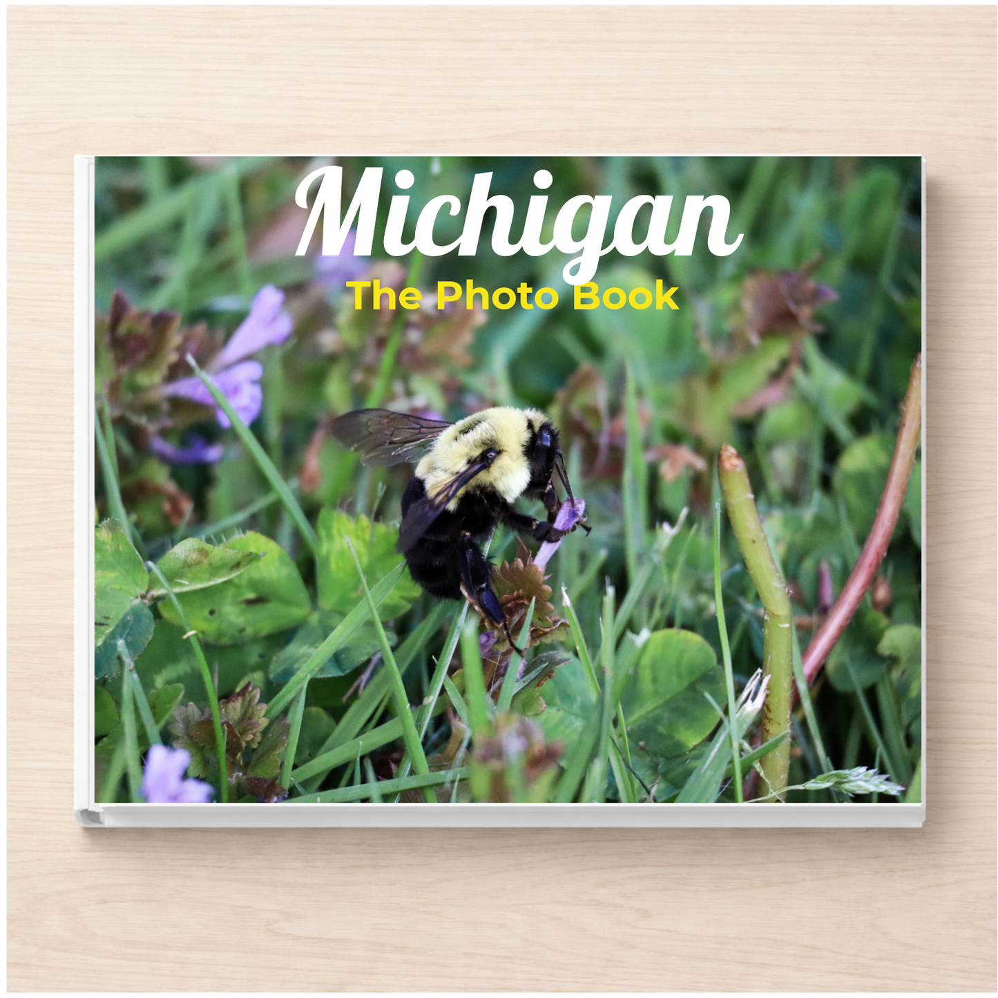 Michigan: The Photo Book