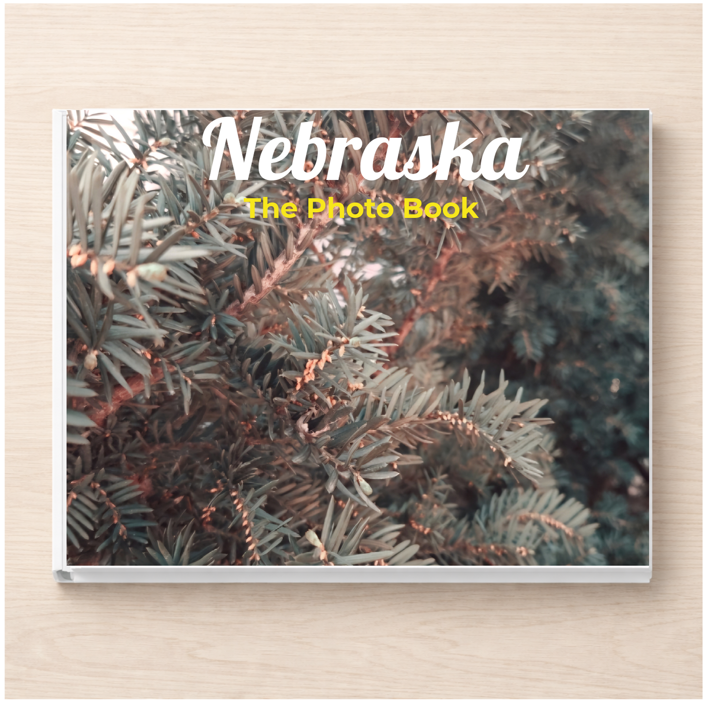 Nebraska: The Photo Book
