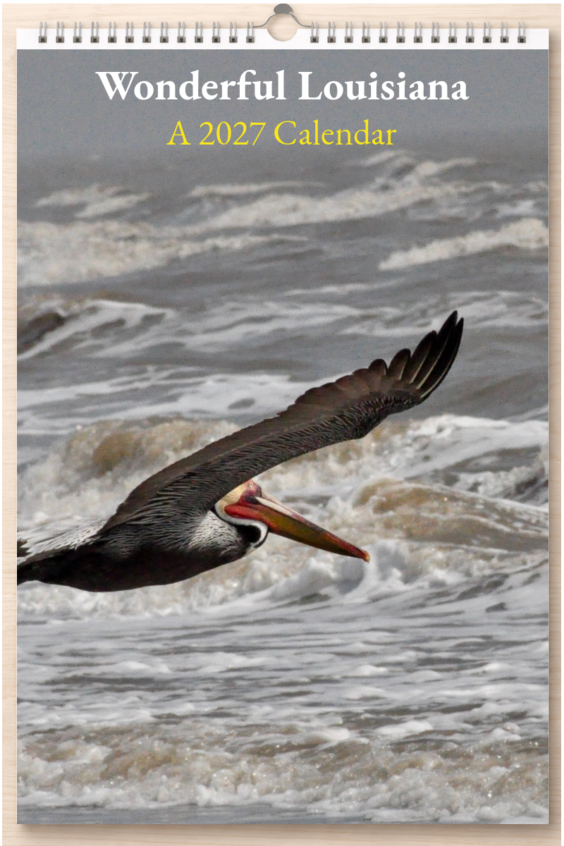 Wonderful Louisiana: A 2027 Calendar
