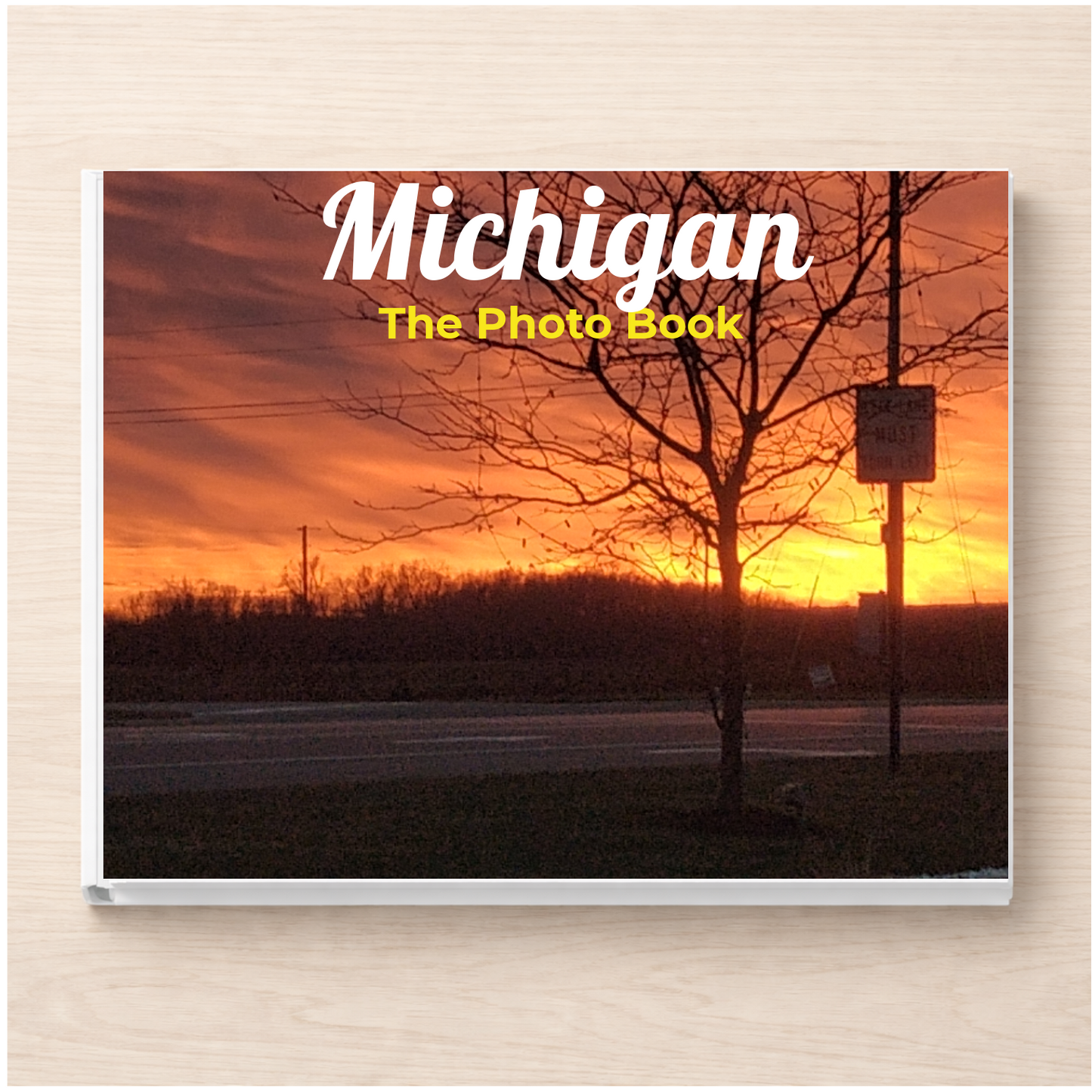 Michigan: The Photo Book