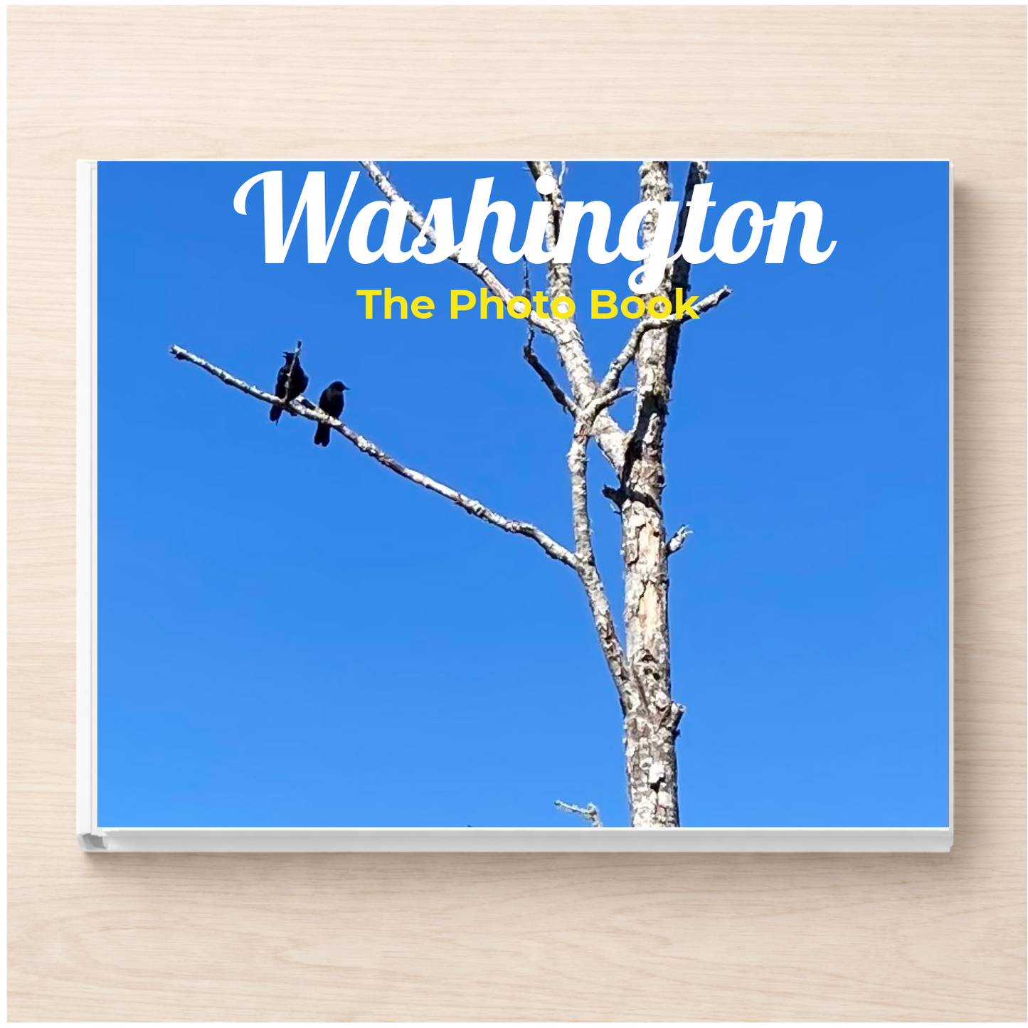 Washington: The Photo Book