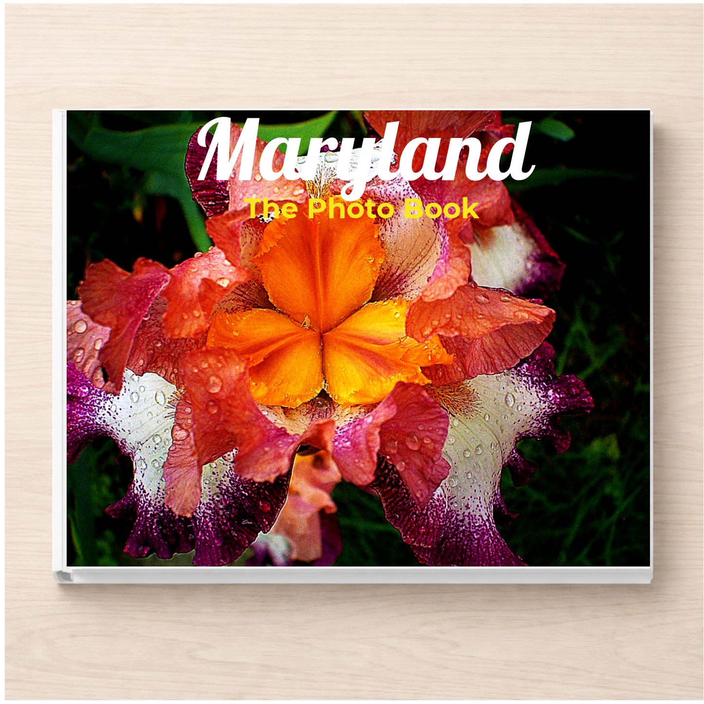 Maryland: The Photo Book