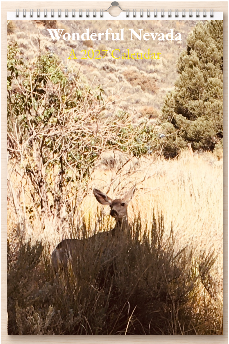 Wonderful Nevada: A 2027 Calendar