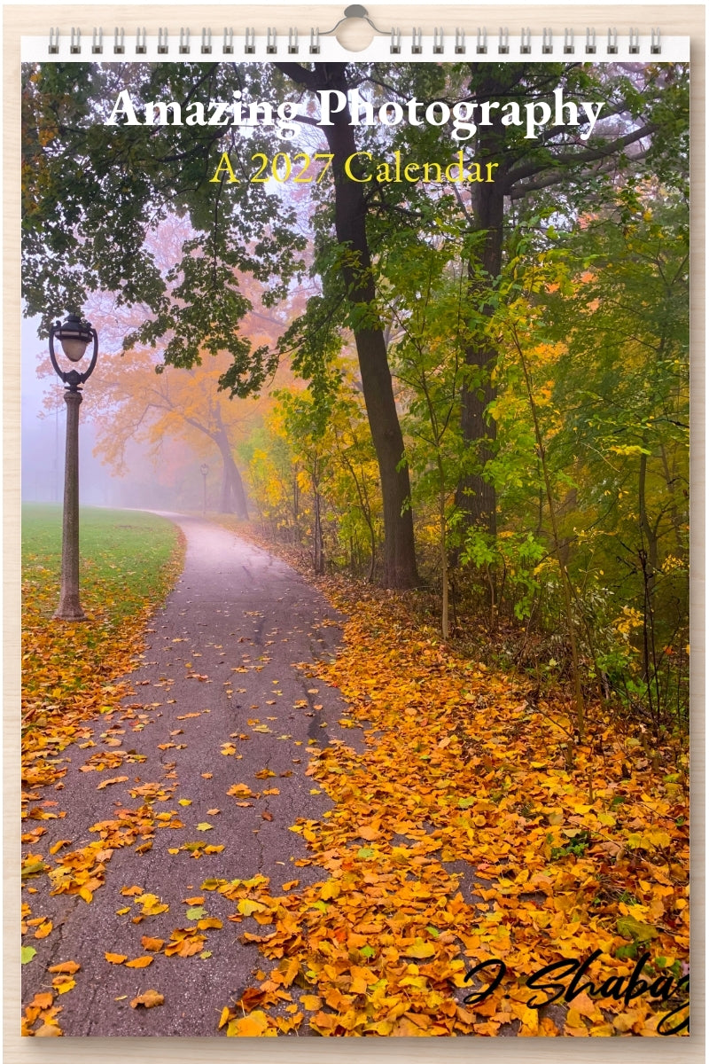 Amazing Photography: A 2027 Calendar