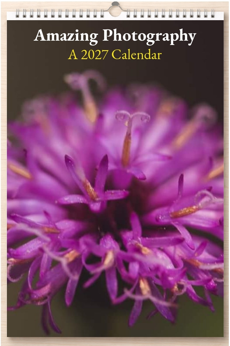 Amazing Photography: A 2027 Calendar