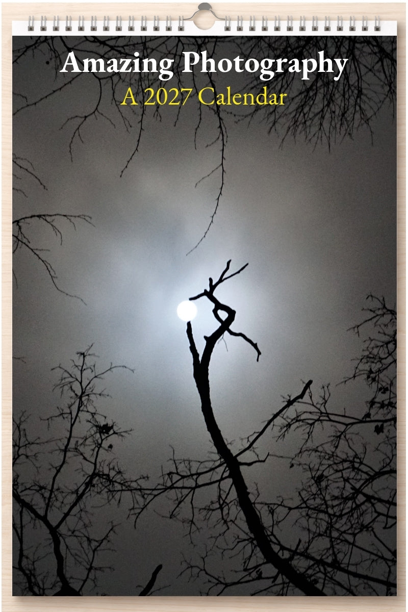 Amazing Photography: A 2027 Calendar