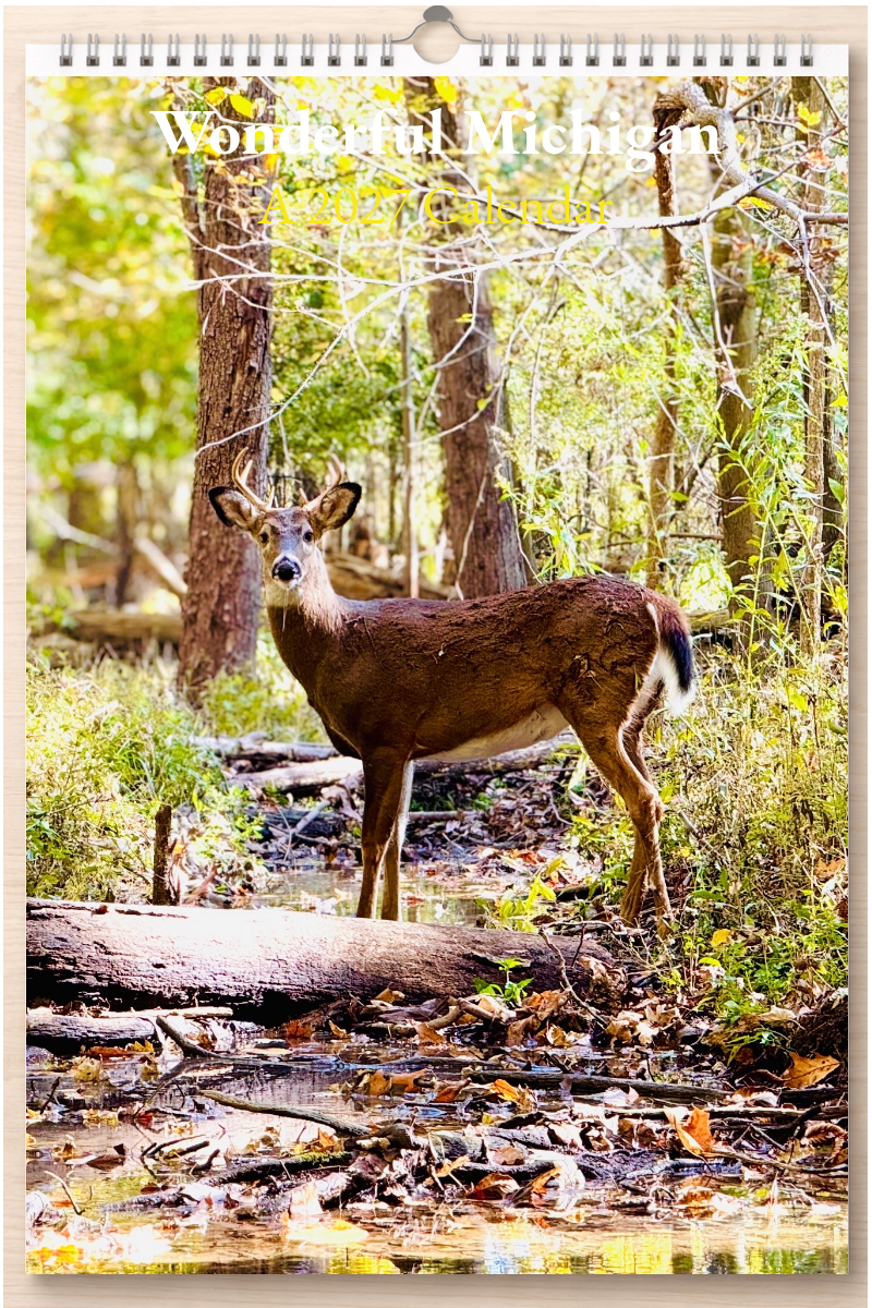 Wonderful Michigan: A 2027 Calendar
