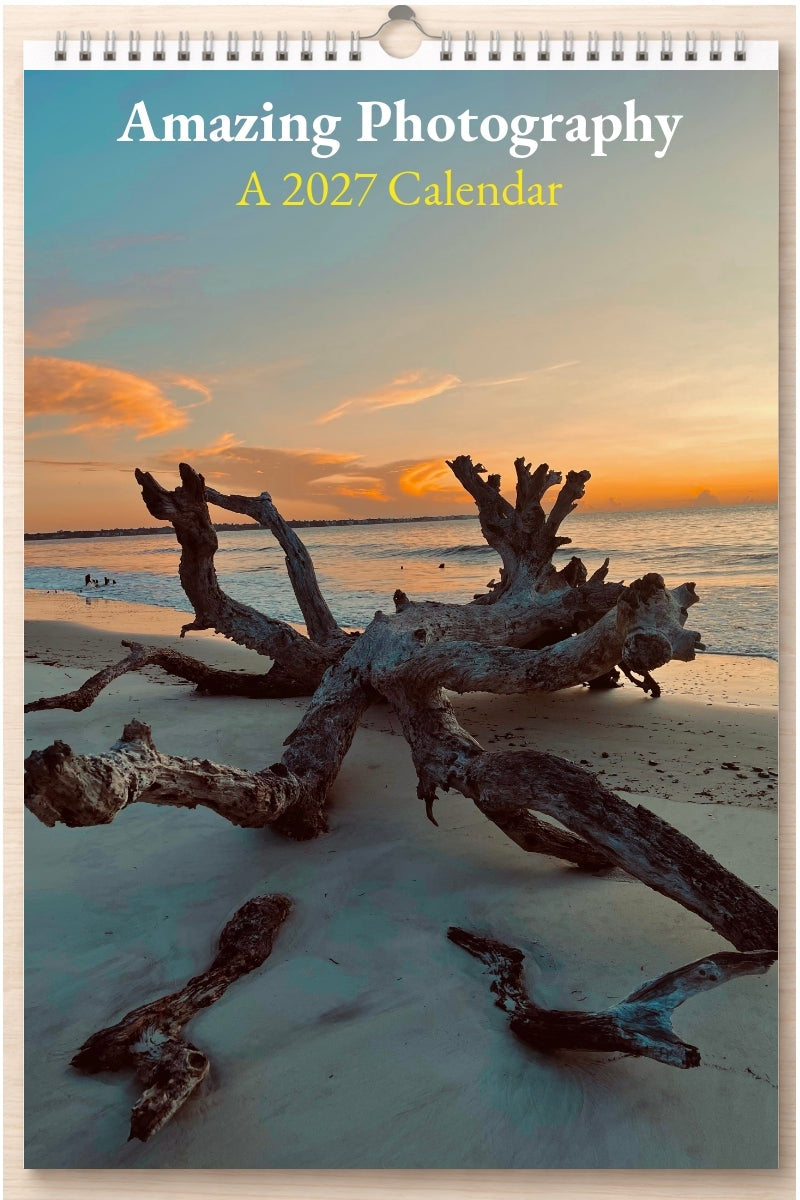 Amazing Photography: A 2027 Calendar