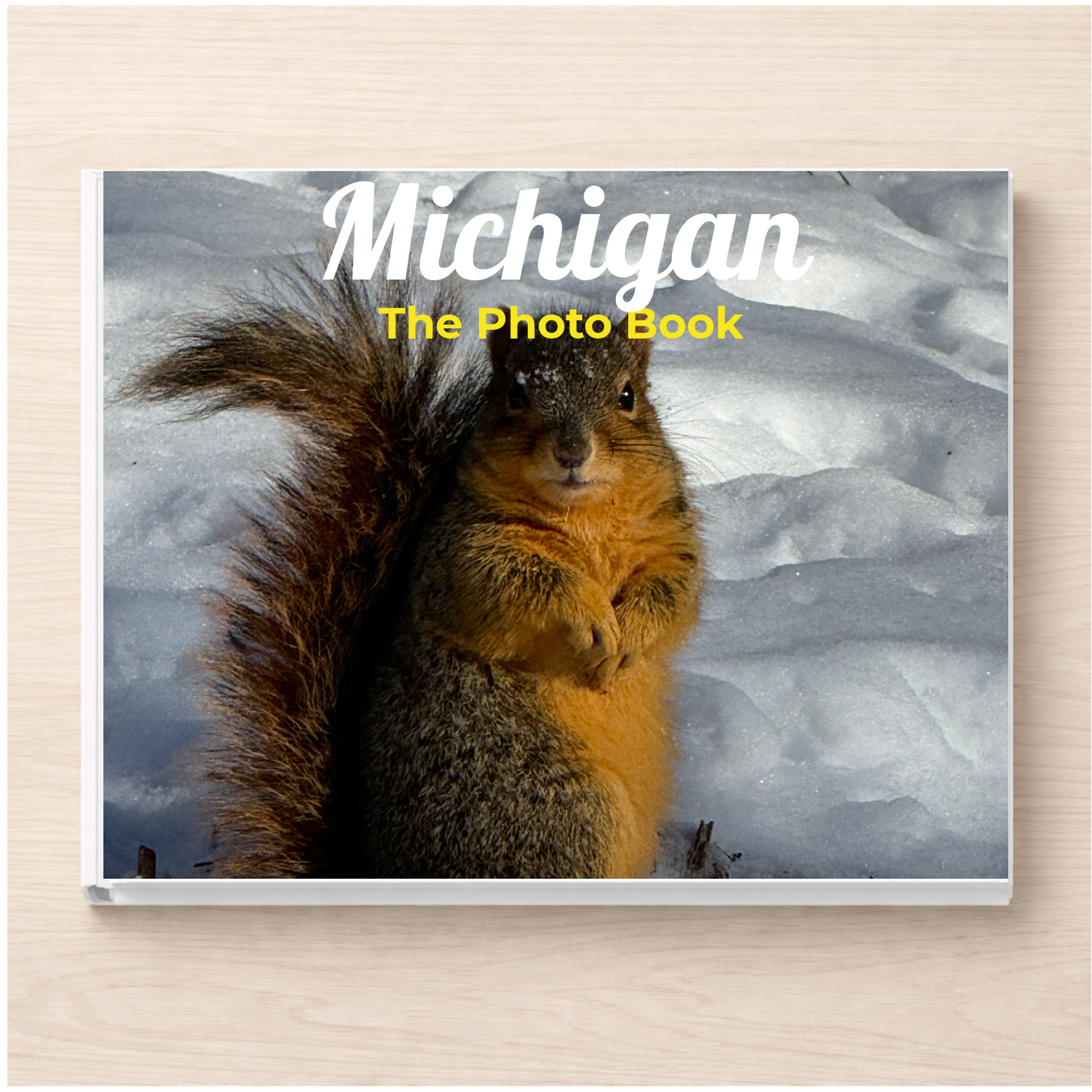 Michigan: The Photo Book
