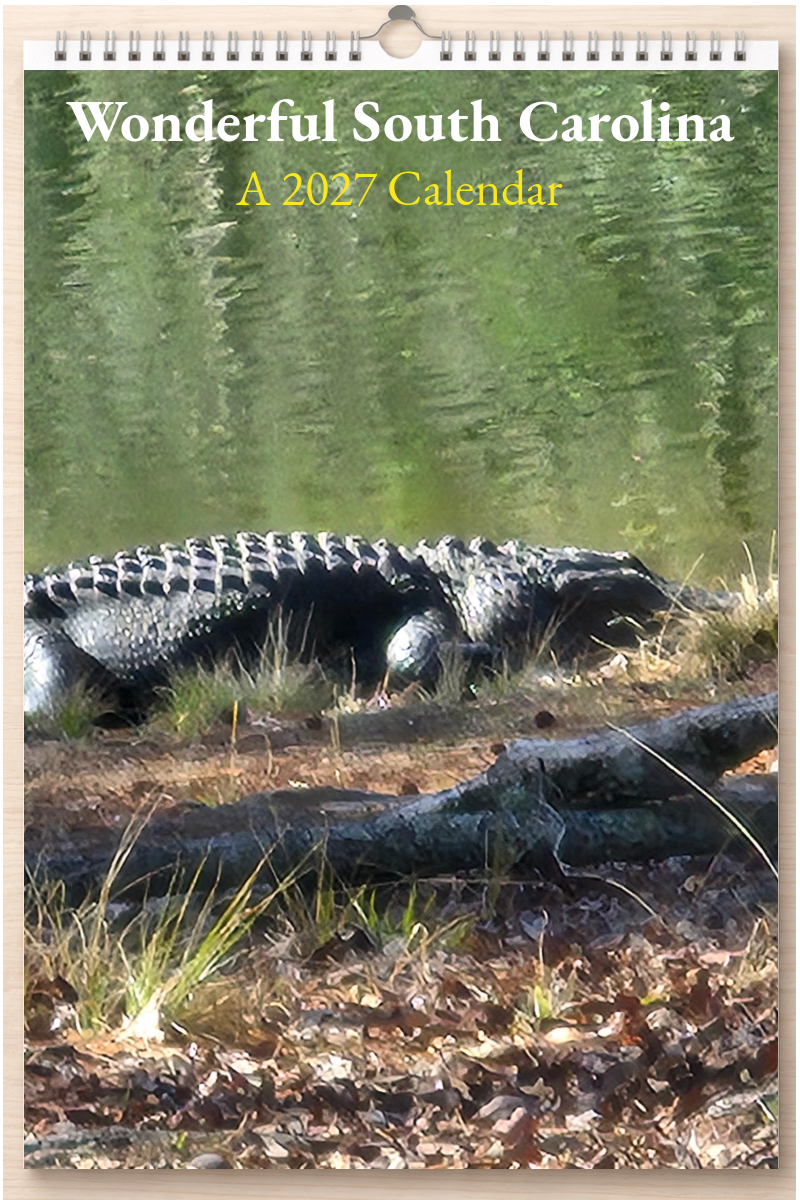 Wonderful South Carolina: A 2027 Calendar