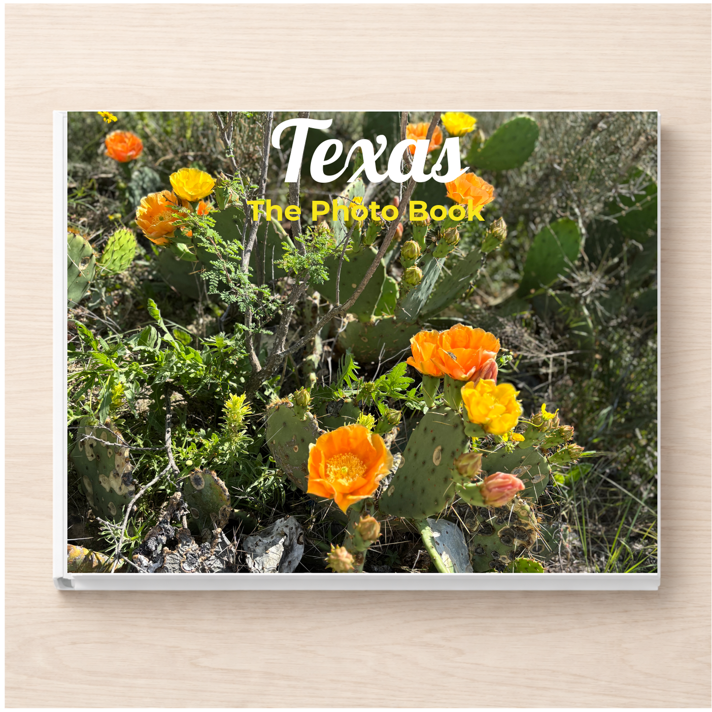 Texas: The Photo Book