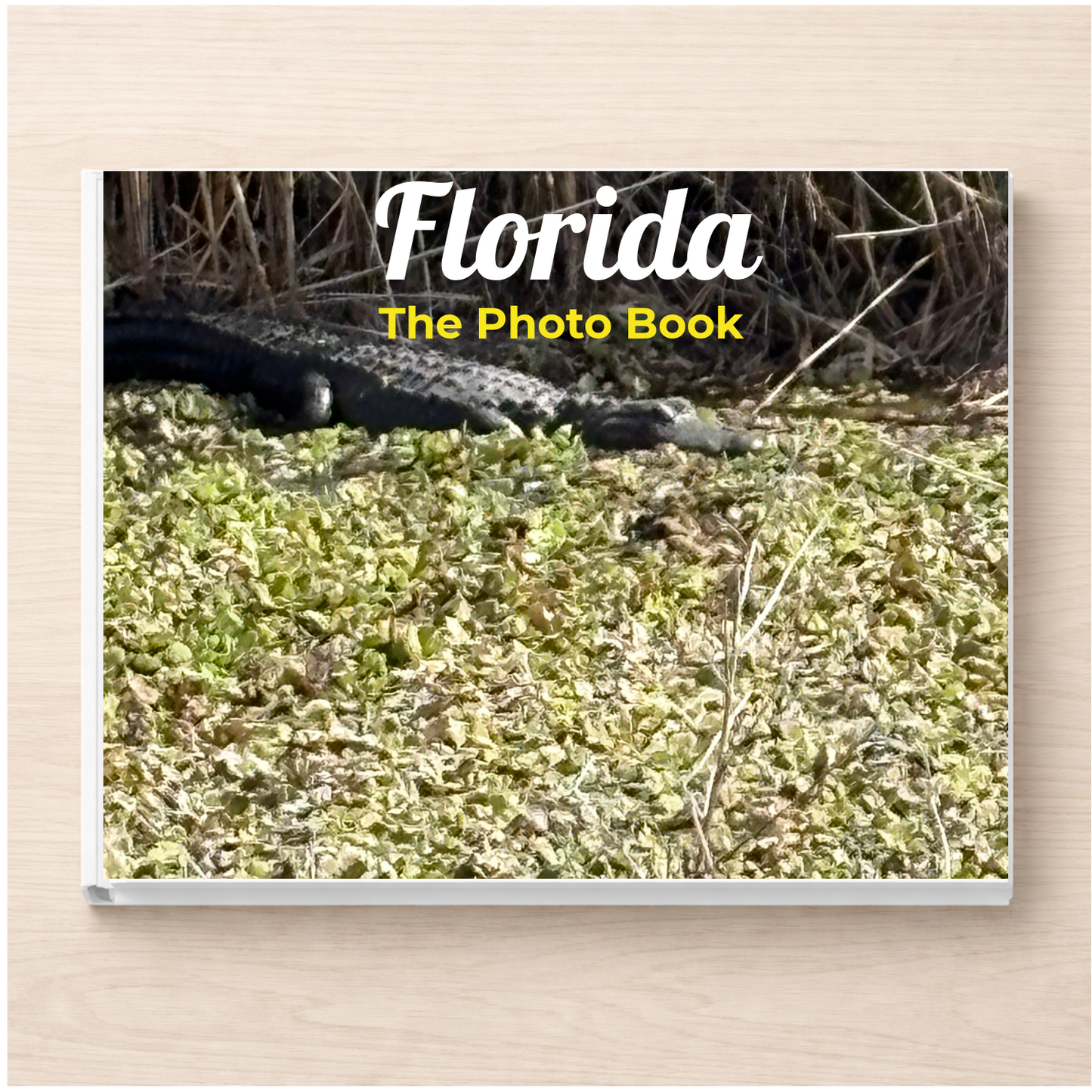 Florida: The Photo Book