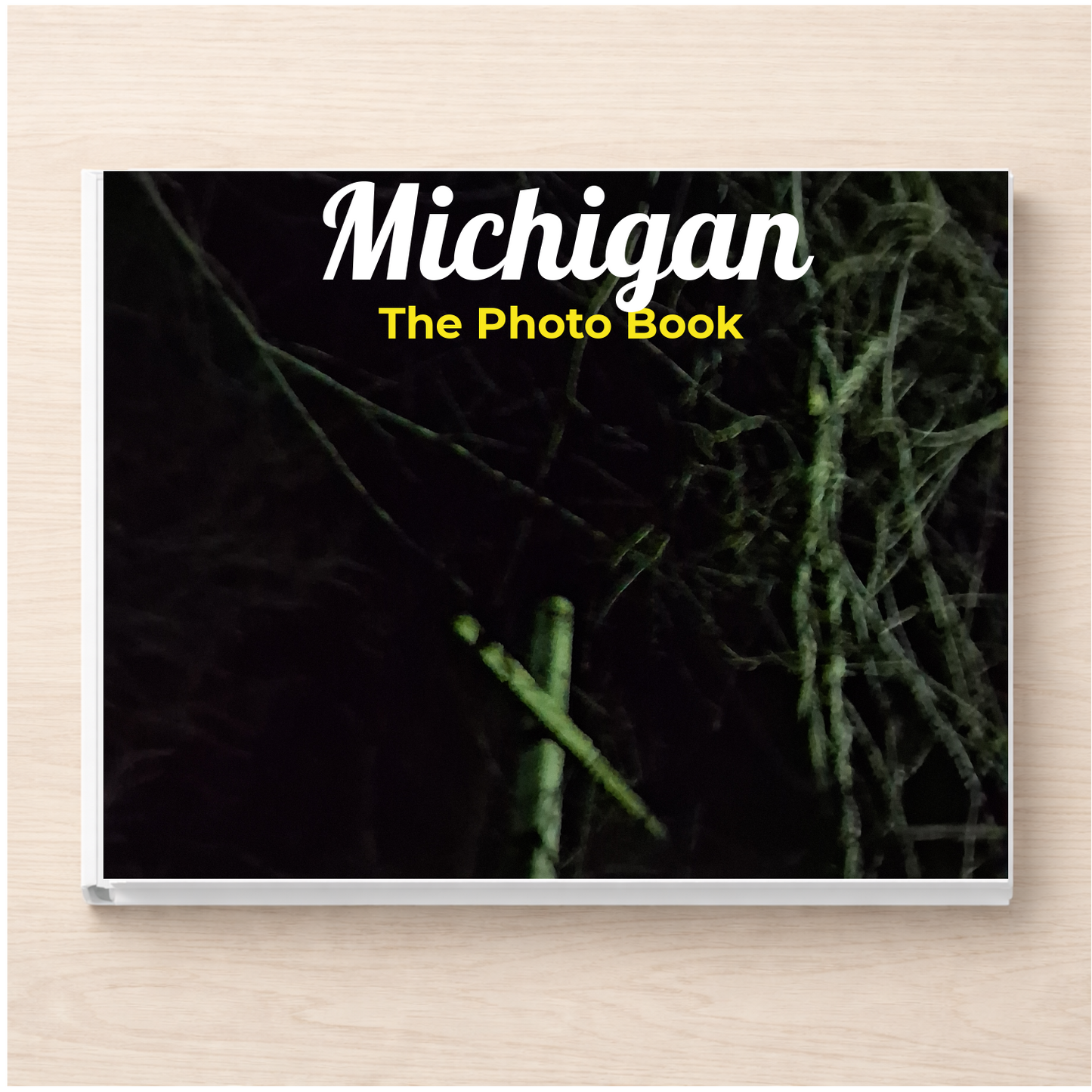 Michigan: The Photo Book