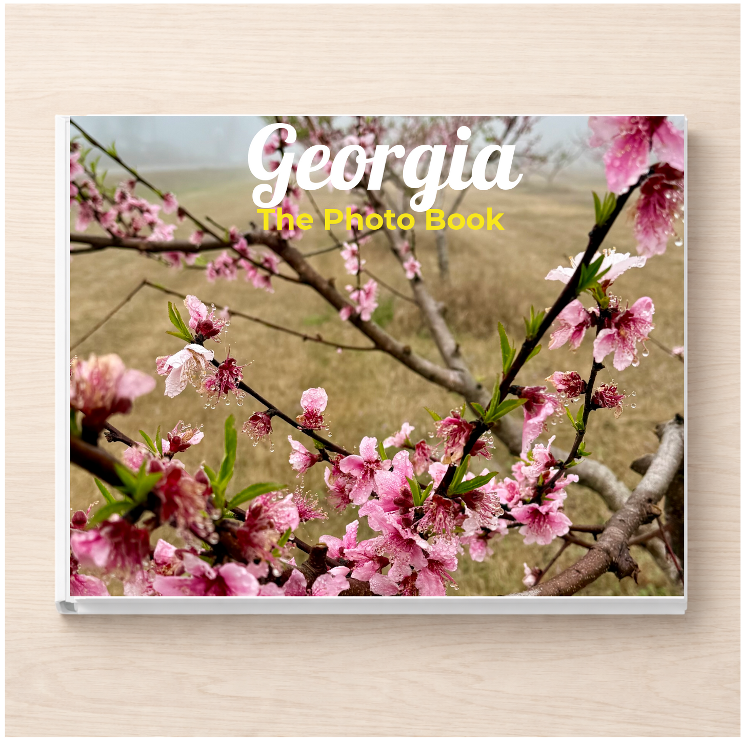 Georgia: The Photo Book