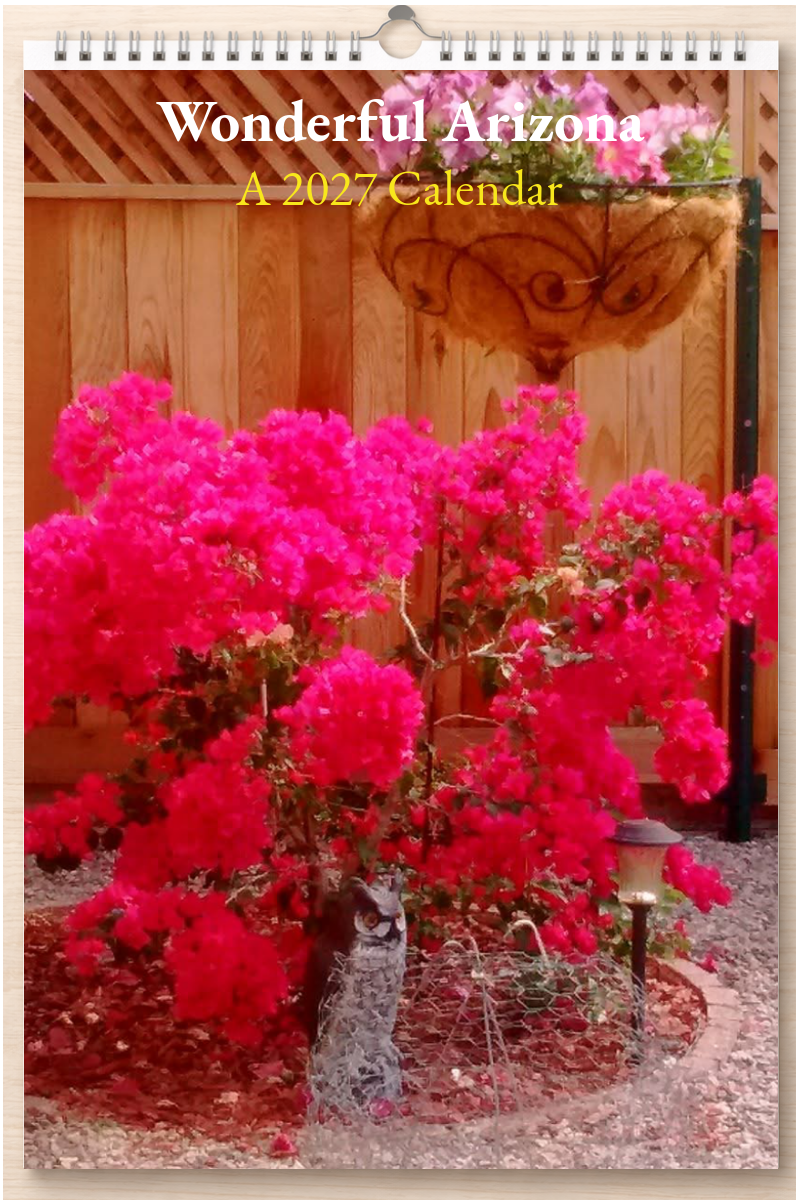 Wonderful Arizona: A 2027 Calendar
