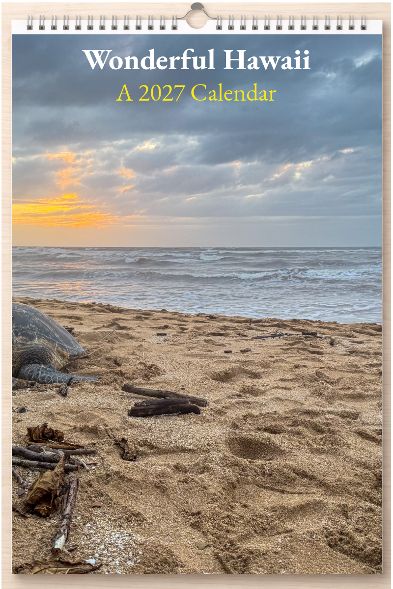 Wonderful Hawaii: A 2027 Calendar