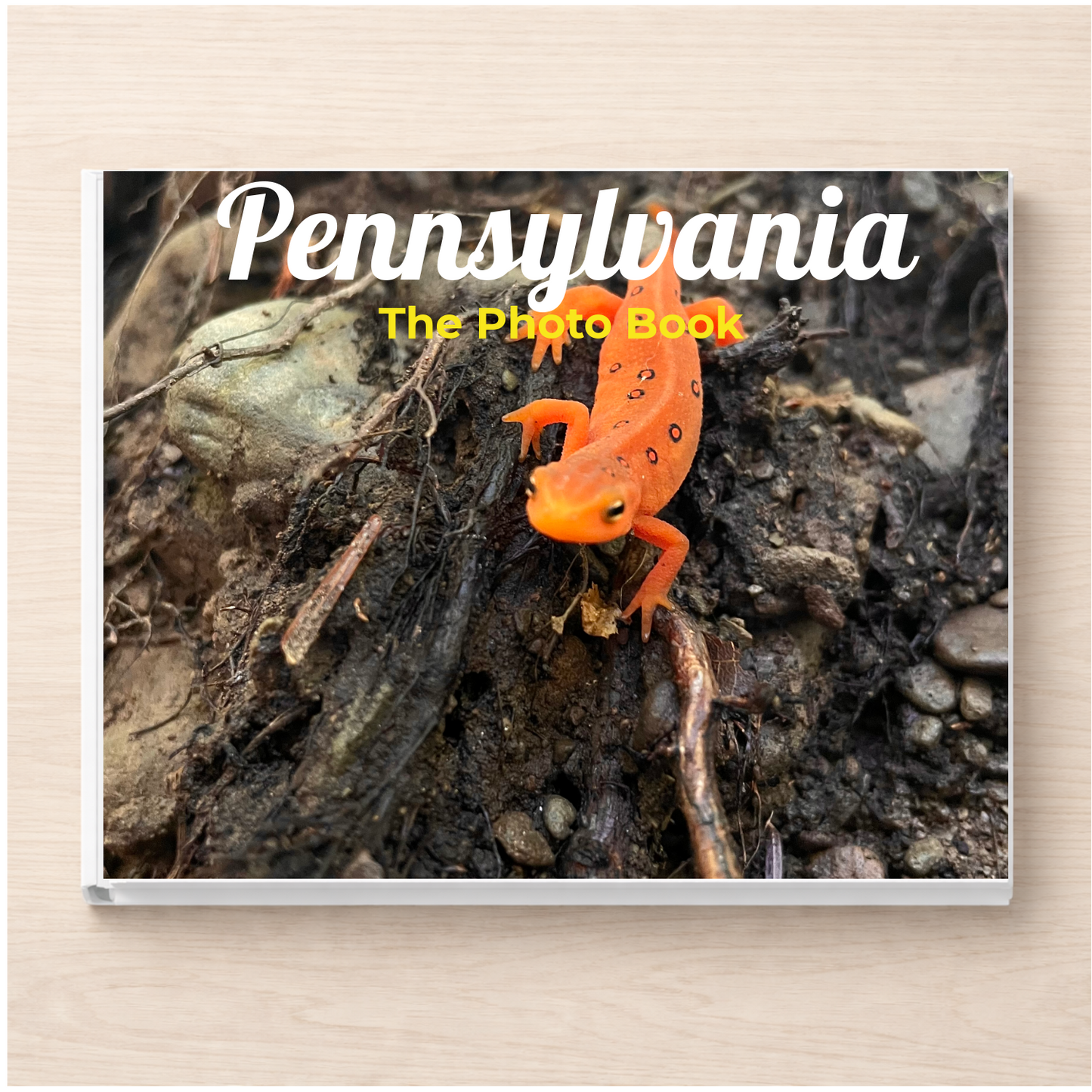Pennsylvania: The Photo Book