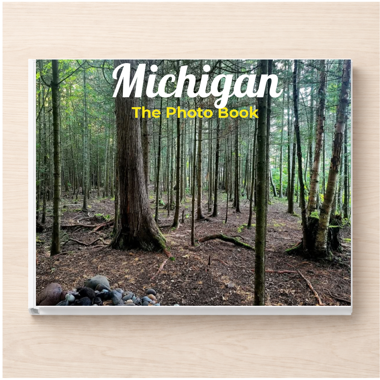 Michigan: The Photo Book