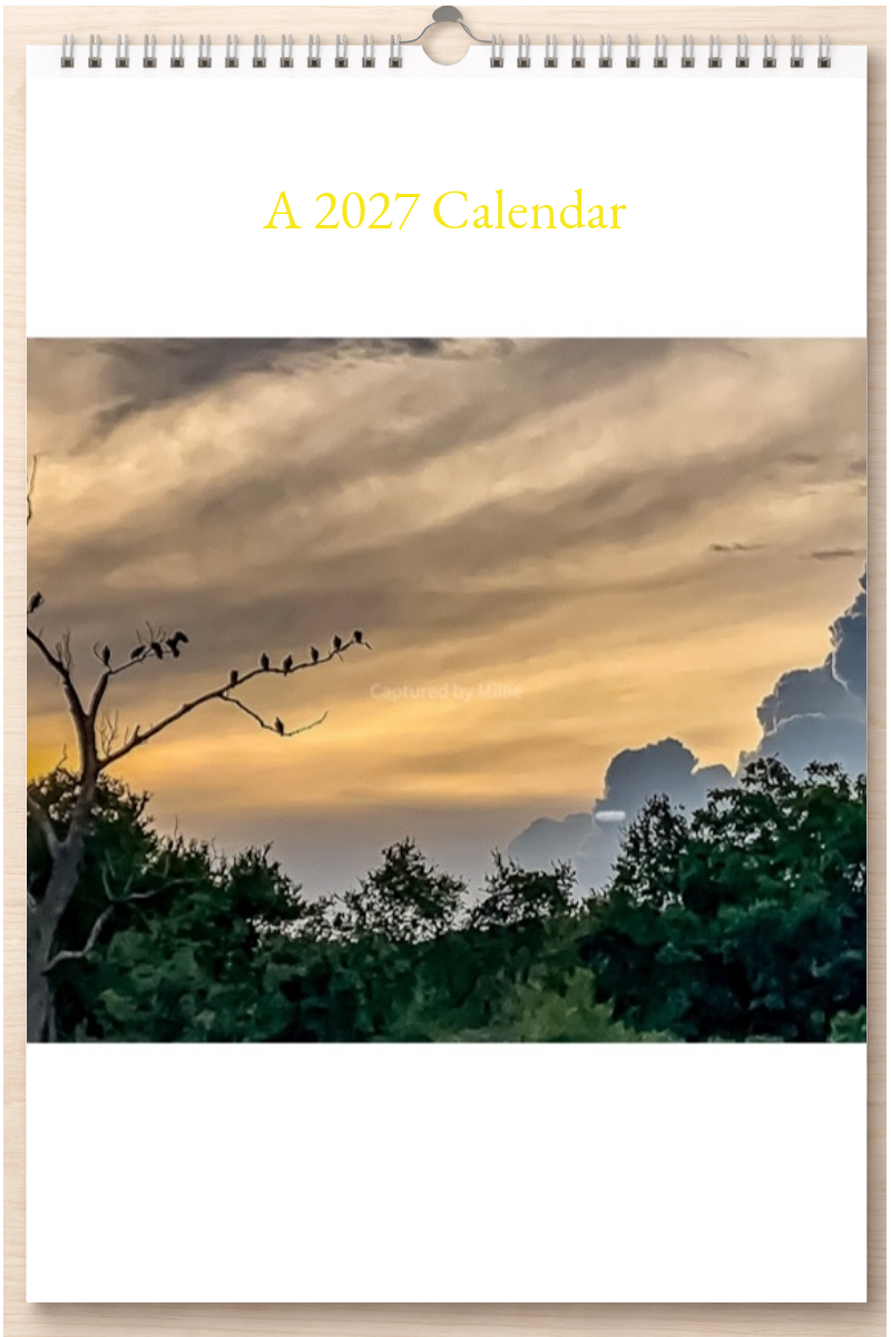 Wonderful Texas: A 2027 Calendar