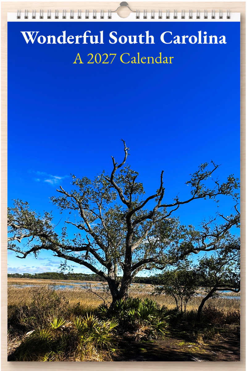 Wonderful South Carolina: A 2027 Calendar